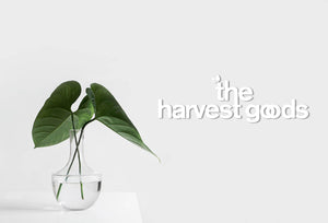 The Harvest Goods - The Perfect Balance Of Nutrients & Minerals